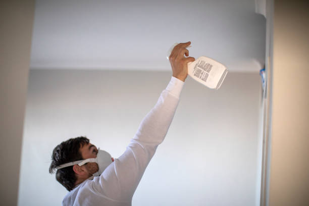 Best Home Mold Removal  in Jonesville, LA