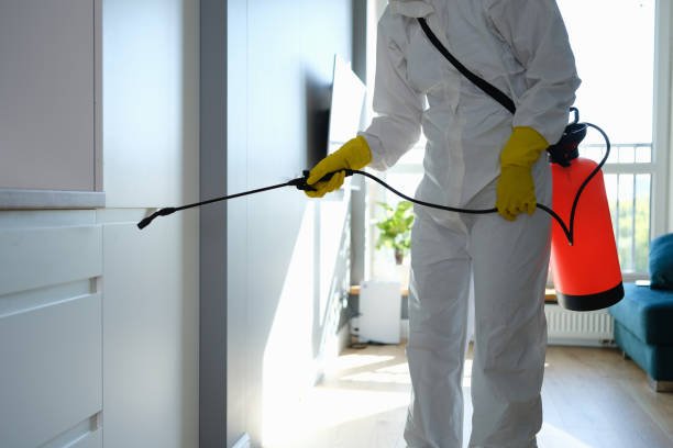 Best Attic Mold Removal  in Jonesville, LA