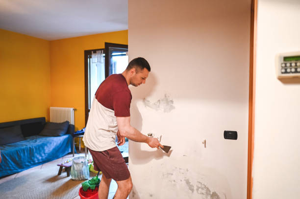 Best Professional Mold Removal  in Jonesville, LA